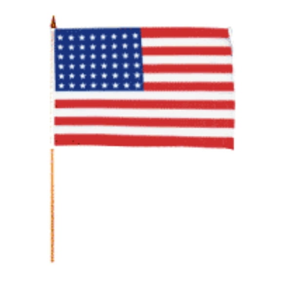 Trade Winds 1 Dozen 48 Star USA Stick Flags 12x18in Handheld US Historical Flag