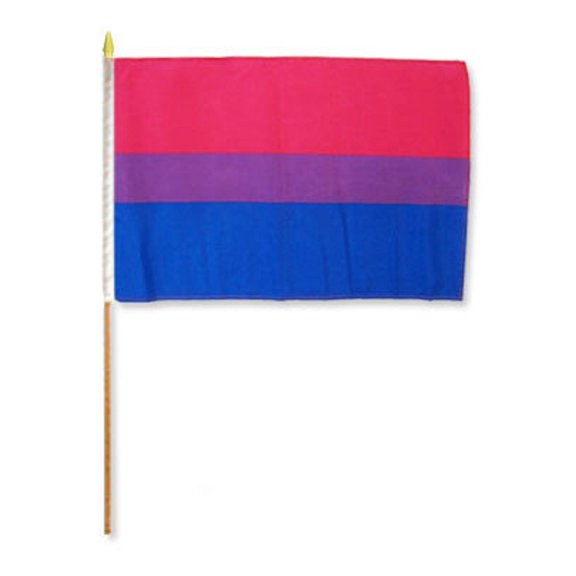 Trade Winds 12x18 12"x18" Gay Pride Bisexual Bi Stick Flag wood staff 100D
