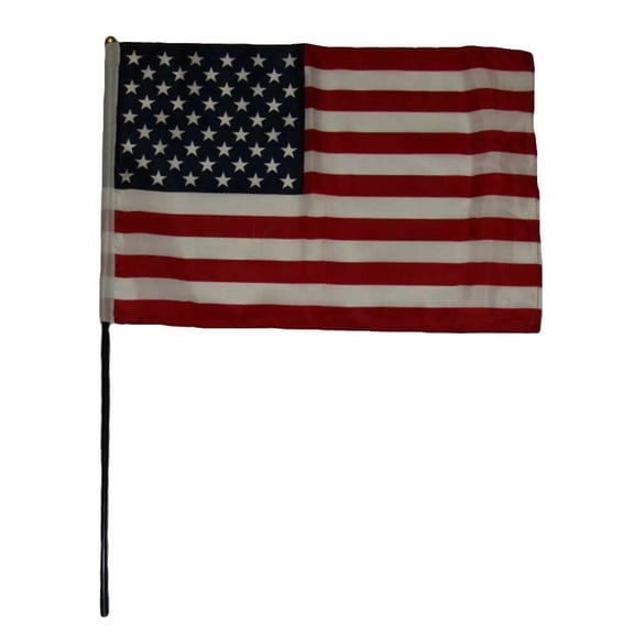 Trade Winds 12x18 12"x18" U.S. USA American Stick Flag Black Plastic 24 inch Staff BALL TOP
