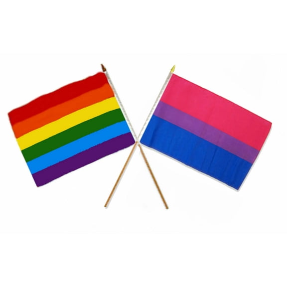 Trade Winds 12x18 12"x18" Wholesale Combo Gay Pride Rainbow & Bi Bisexual Stick Flag