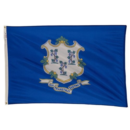 Trade Winds 2x3 Connecticut State Nylon Flag 2'x3' Banner Grommets 100D