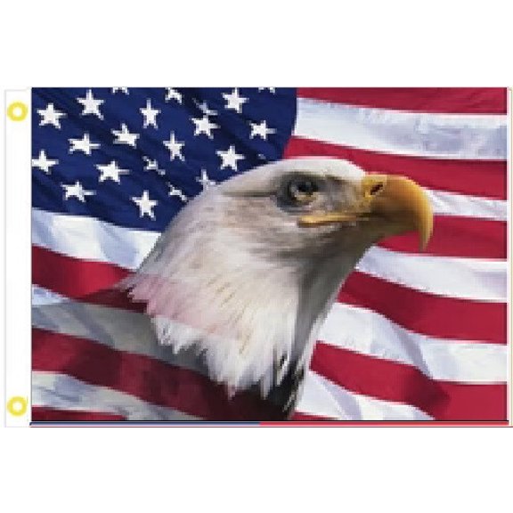 Trade Winds 3X5 FREEDOM EAGLE USA 1776 PATRITIOC WAVY USA FLAG BANNER GROMMETS