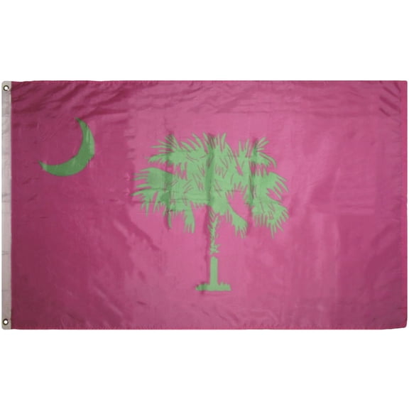 Trade Winds 3x5 State of South Carolina SC Pink/Green Premium Flag 3'x5' Banner 2 Grommets