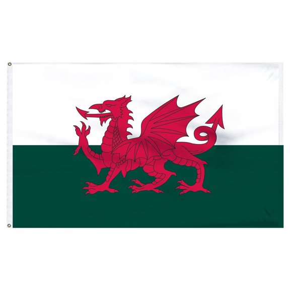 Trade Winds 5x8 ft Wales Welsh Dragon Flag Rough Tex Knitted 5'x8' Banner 100D