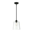 thumbnail image 1 of Trade Winds Lighting 1-Light Pendant Light In Matte Black, 1 of 7