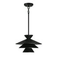thumbnail image 1 of Trade Winds Lighting 1-Light Pendant Light In Matte Black, 1 of 6