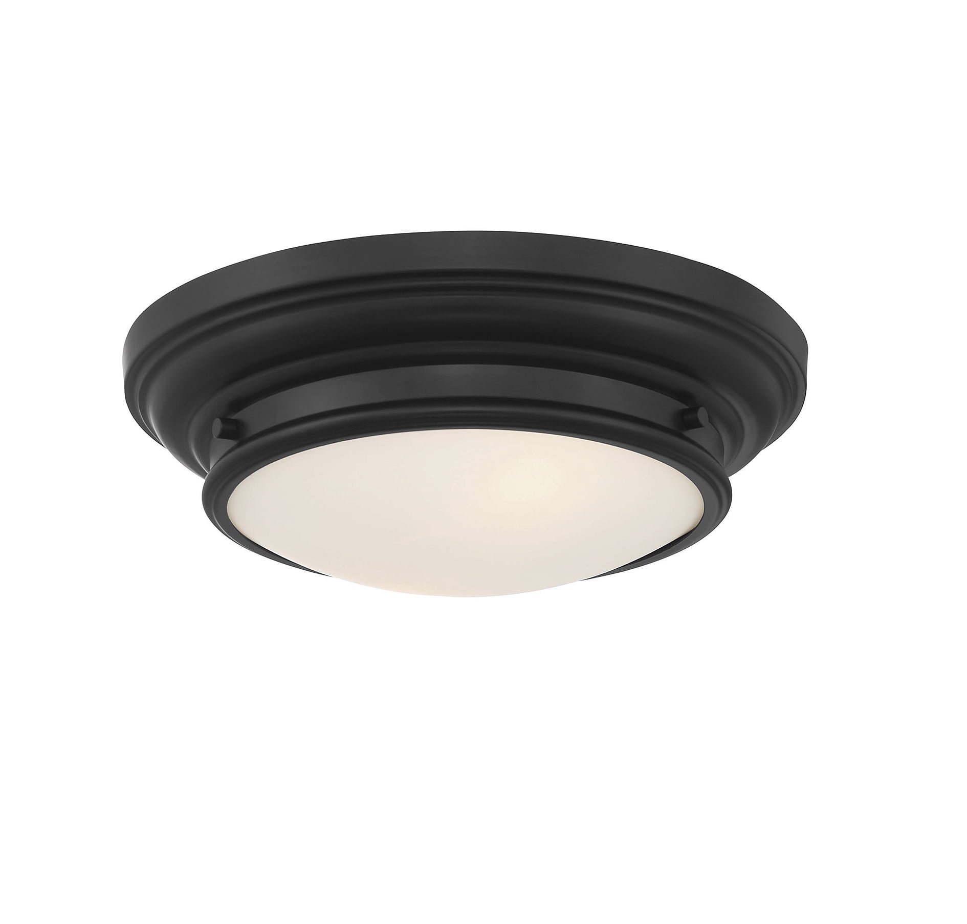 Matte Black and Glass 2-Light Flush Mount Ceiling Fixture