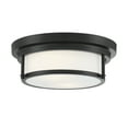 thumbnail image 1 of Trade Winds Lighting 2-Light Ceiling Light In Matte Black, 1 of 7