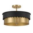 thumbnail image 1 of Trade Winds Suzy 3-Light Ceiling Light in Matte Black and Natural Brass, 1 of 1