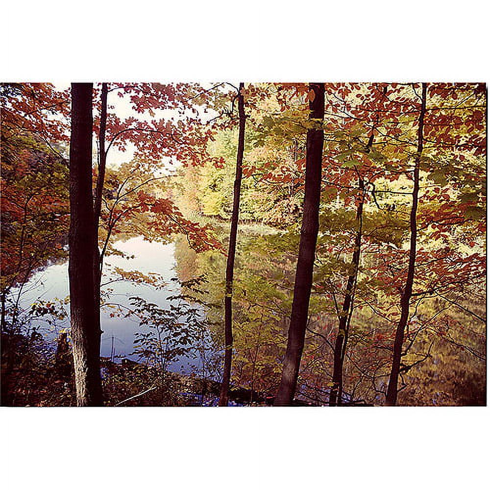 Trademark Art "A Secret Pond" Canvas Art by Kurt Shaffer