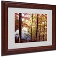 thumbnail image 1 of Trademark Art 'A Secret Pond' Framed Matted Art by Kurt Shaffer, 1 of 1