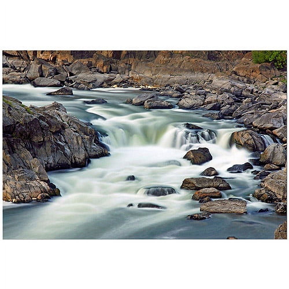 Trademark Art "A Treasure" Canvas Art by CATeyes