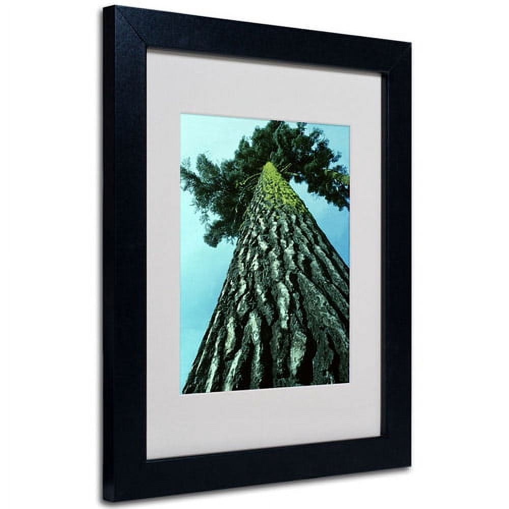 Trademark Art 'A Tree of Life' Framed Matted Art by Kurt Shaffer