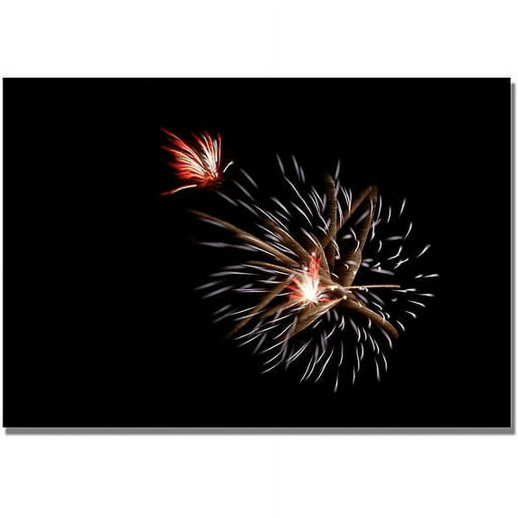 Trademark Art "Abstract Fireworks 32" Canvas Wall Art by Kurt Shaffer
