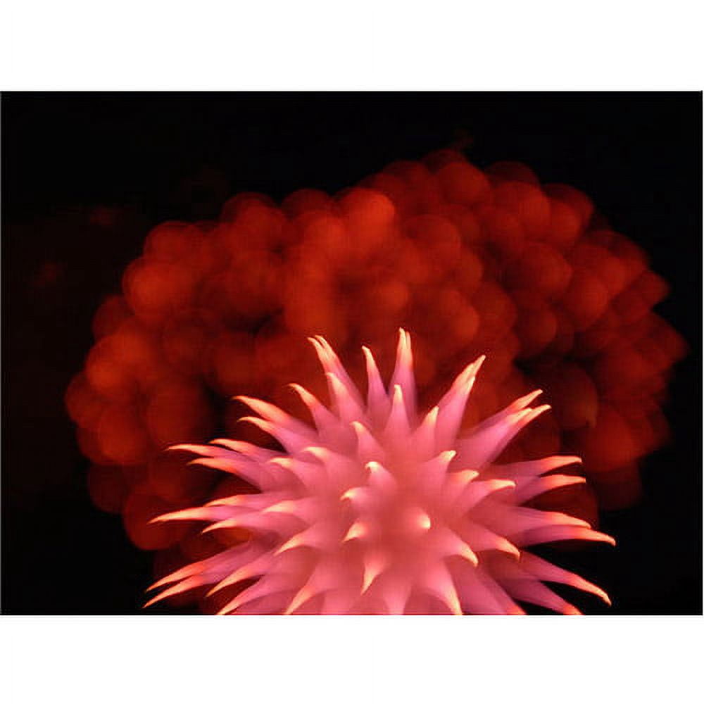 Trademark Art "Abstract Fireworks VII" Canvas Art by Kurt Shaffer