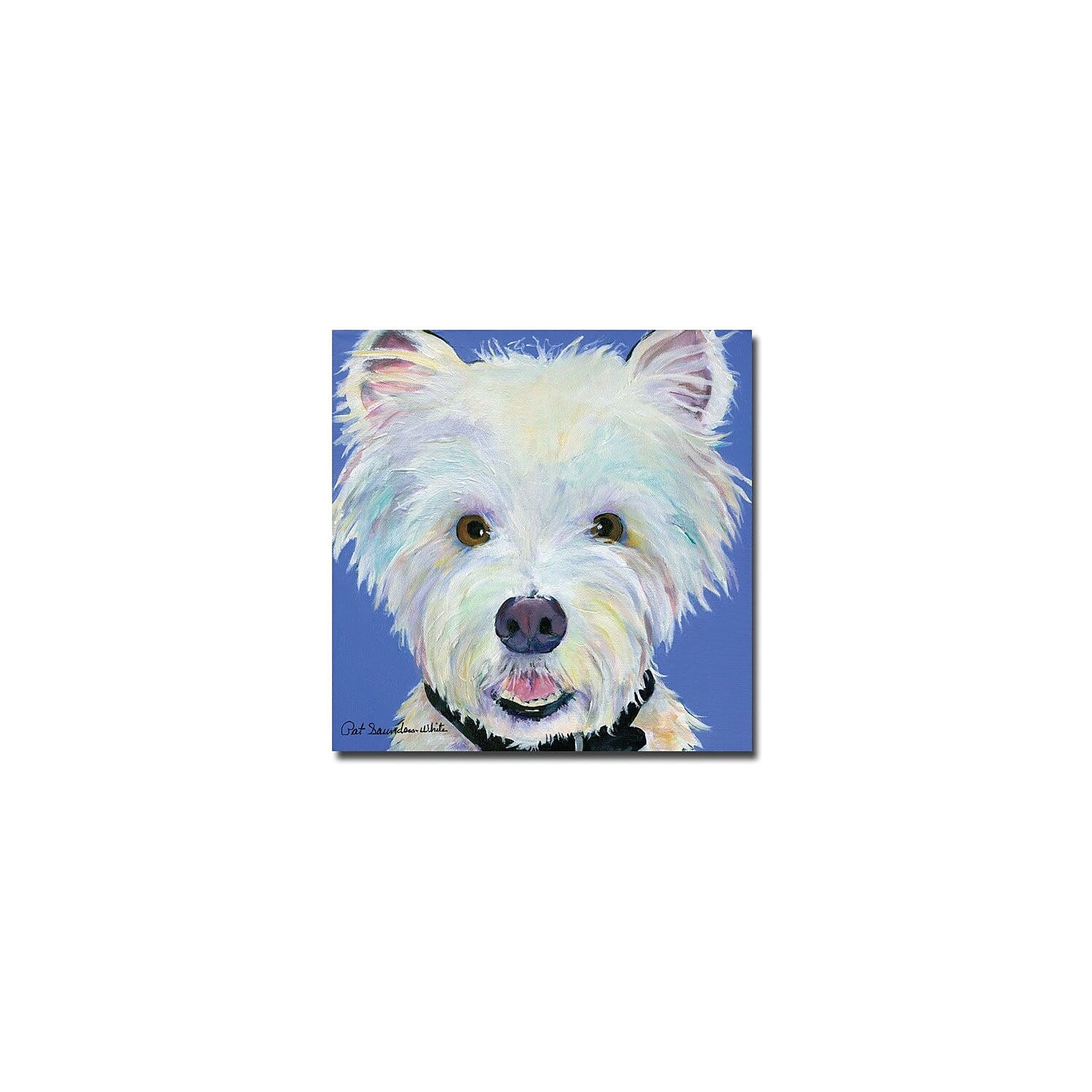 Trademark Art "Amos" Canvas Wall Art by Pat Saunders-White