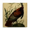 thumbnail image 1 of Trademark Art Animals Art Print, 16" x 16", by Ryan Radke, 1 of 3