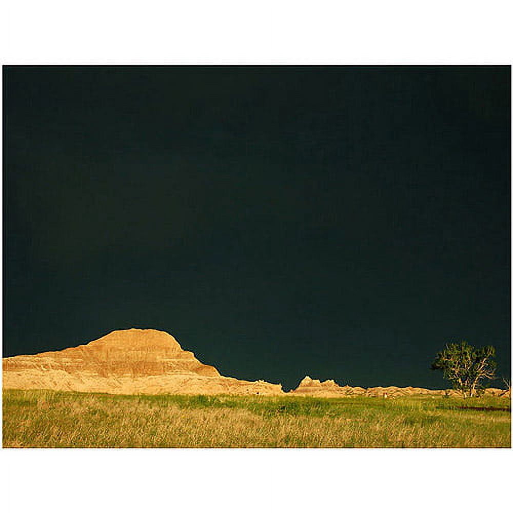 Trademark Art "Approaching Storm" Canvas Wall Art by Nicole Dietz