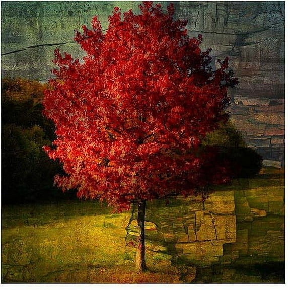 Trademark Art "Autumn Red" Canvas Art by Philippe Sainte-Laudy
