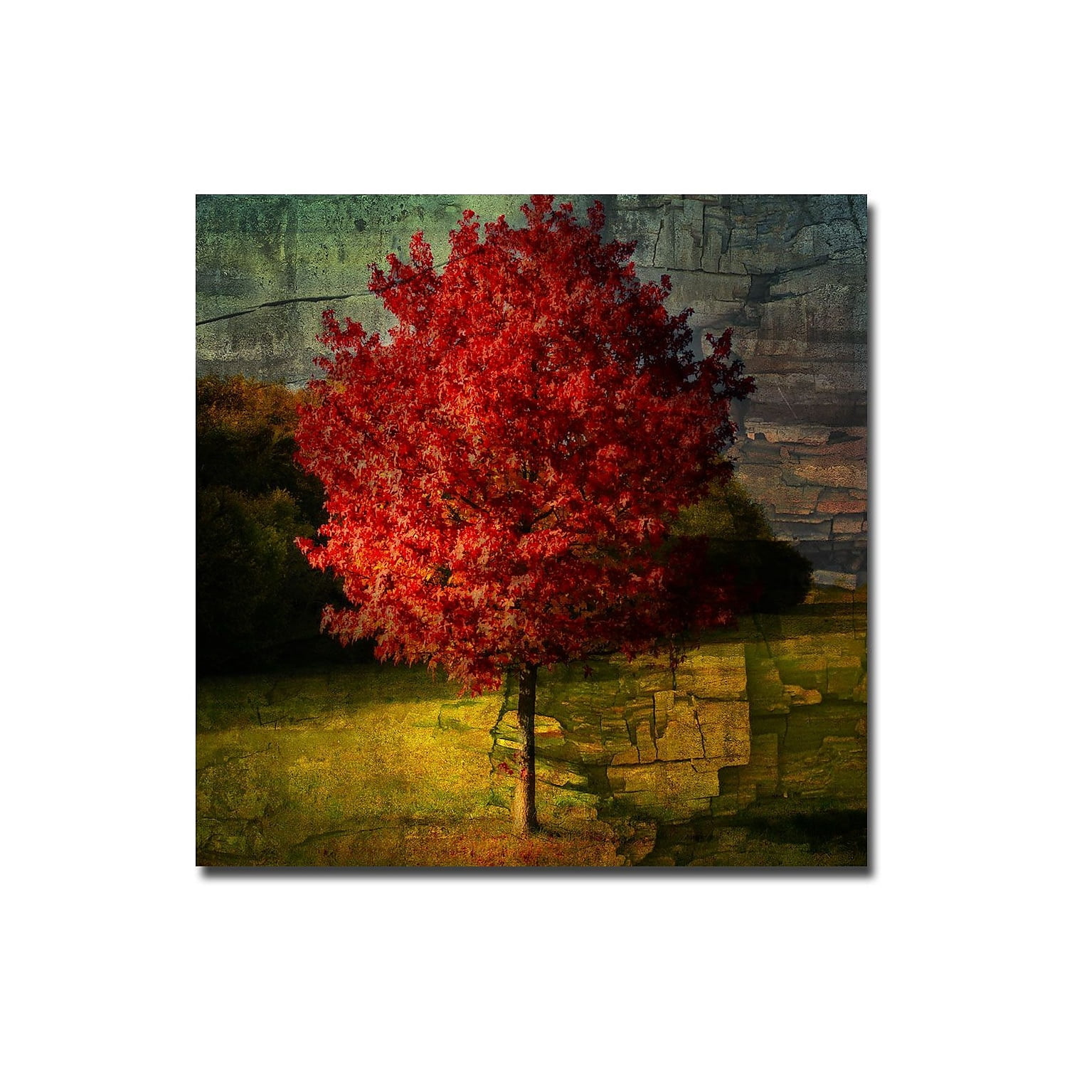 Trademark Art "Autumn Red" Canvas Art by Philippe Sainte-Laudy
