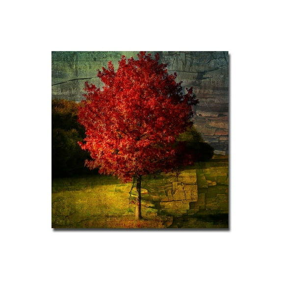 Trademark Art "Autumn Red" Canvas Art by Philippe Sainte-Laudy