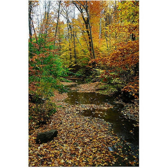 Trademark Art "Autumn Stream" Canvas Art by Kurt Shaffer, 16x24