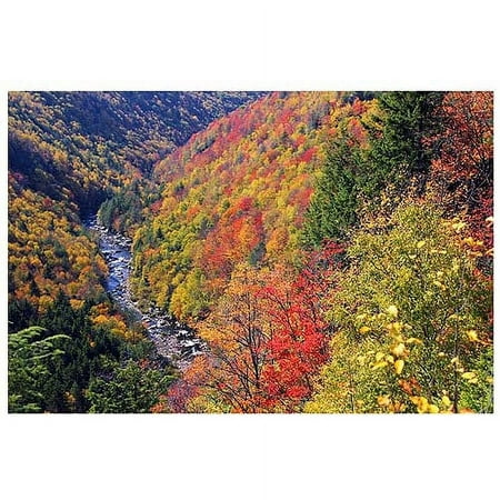 Trademark Art "Autumn's Fire" Canvas Art by CATeyes