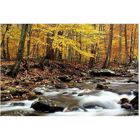 Trademark Art "Autumn's Fire II" Canvas Art by CATeyes