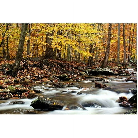 Trademark Art "Autumn's Fire II" Canvas Art by CATeyes