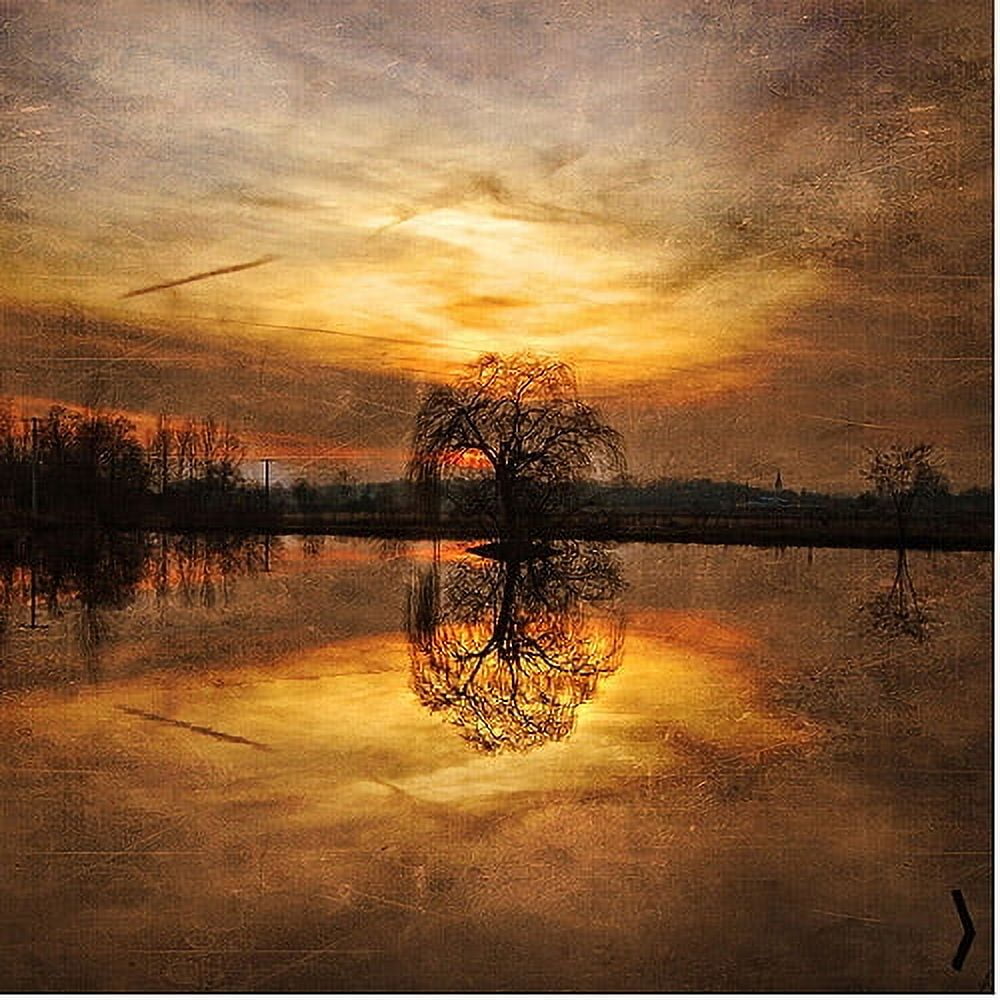 Trademark Art "Ball Gold" Canvas Art by Philippe Sainte-Laudy