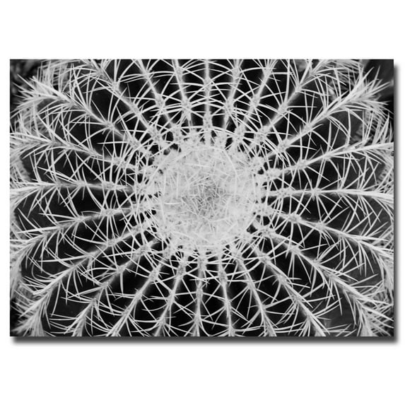 Trademark Art "Barrel Cactus" Canvas Art by Kurt Shaffer