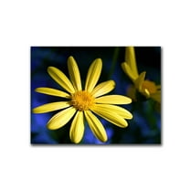 Trademark Art "Best Day" Canvas Art by CATeyes