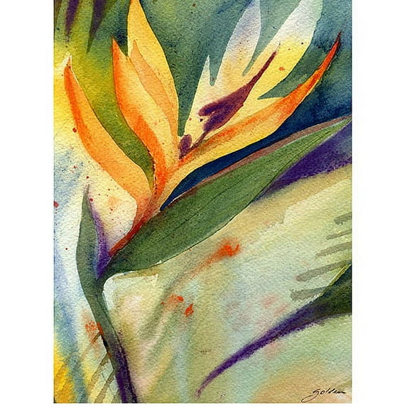 Trademark Fine Art Sheila Golden Bird of Paradise Canvas Wall Art - 24x32