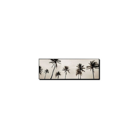 Trademark Art "Black & White Palms" Canvas Art by Preston