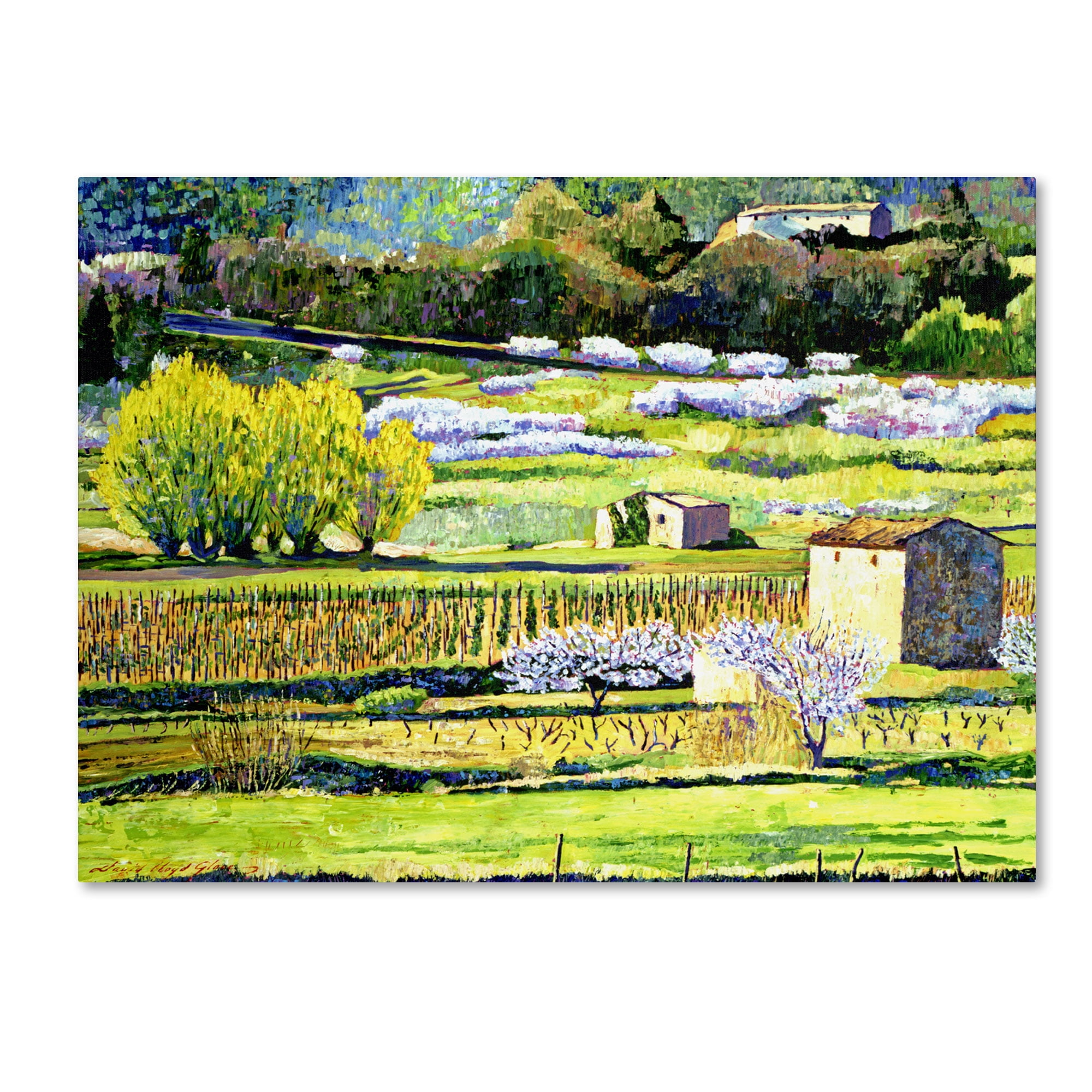 Trademark Art "Bordeaux Vineyards in Spring" Canvas Wall Art by David Lloyd Glover
