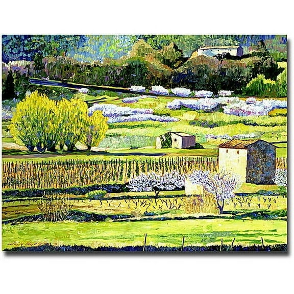 Trademark Art "Bordeaux Vineyards in Spring" Canvas Wall Art by David Lloyd Glover