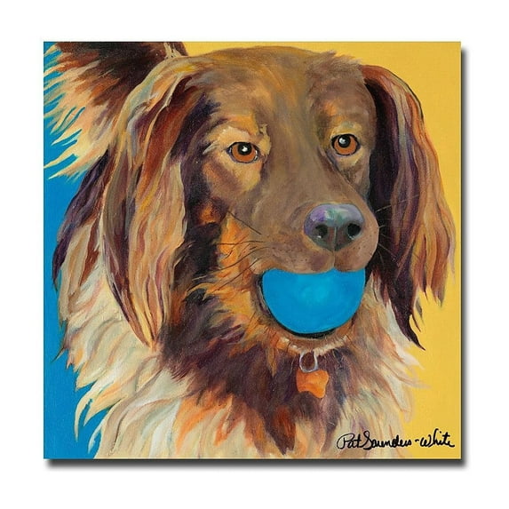 Trademark Art "Caleigh" Canvas Wall Art by Pat Saunders-White