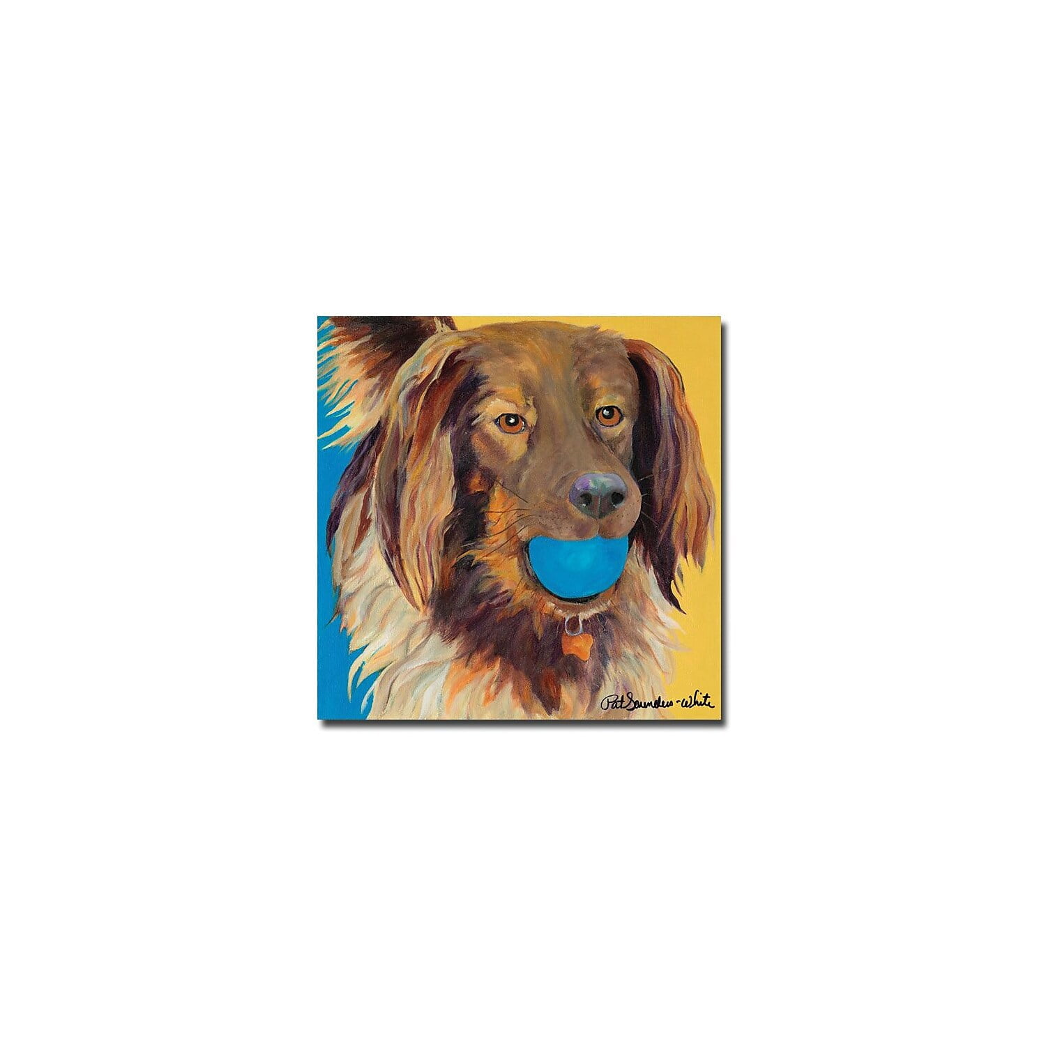 Trademark Art "Caleigh" Canvas Wall Art by Pat Saunders-White