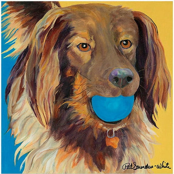 Trademark Art "Caleigh" Canvas Wall Art by Pat Saunders-White