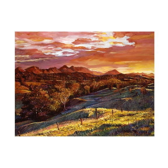 Trademark Fine Art David Lloyd Glover California Dreaming Canvas Wall Art - 18x24