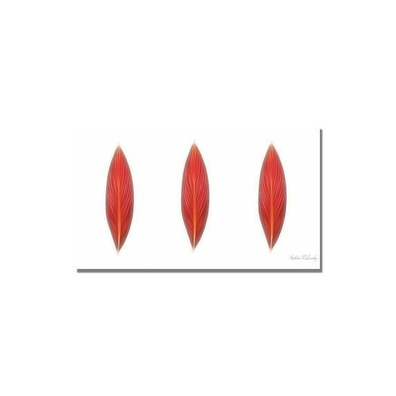 Trademark Art "Canna Leaves" Canvas Art by Kathie McCurdy