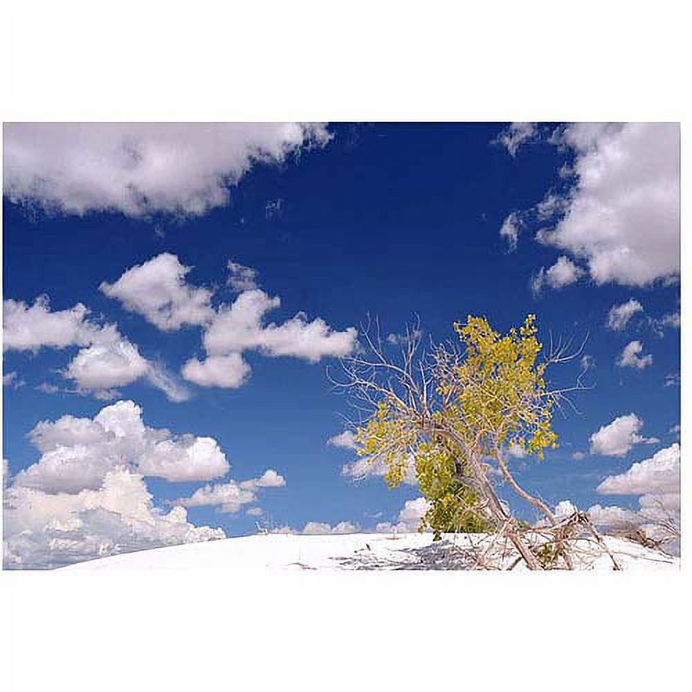 Trademark Art "Clouds and Loneliness" Canvas Art by Philippe Sainte-Laudy