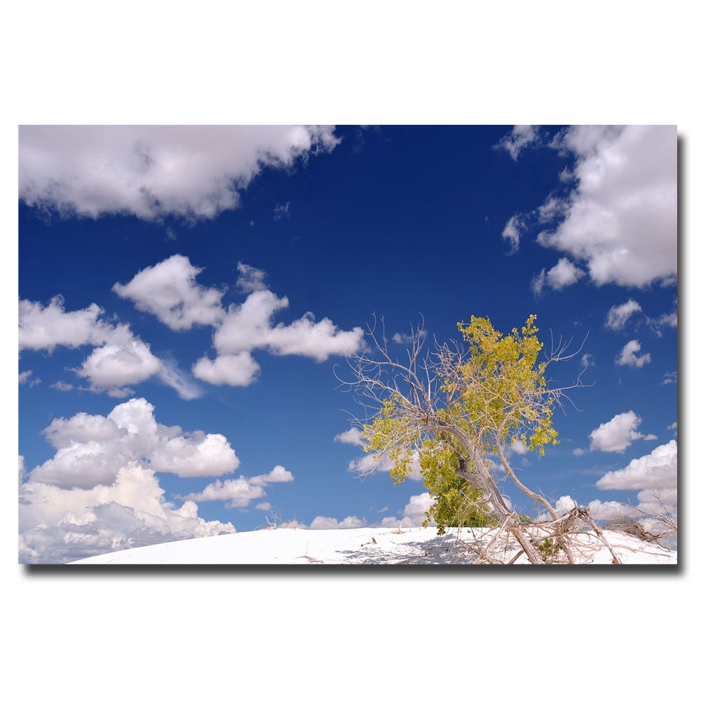 Trademark Art "Clouds and Loneliness" Canvas Art by Philippe Sainte-Laudy