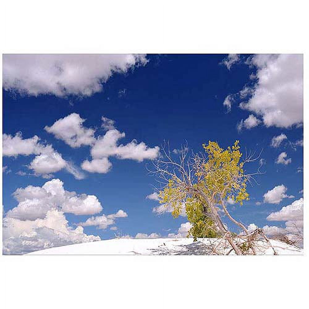 Trademark Art "Clouds and Loneliness" Canvas Art by Philippe Sainte-Laudy