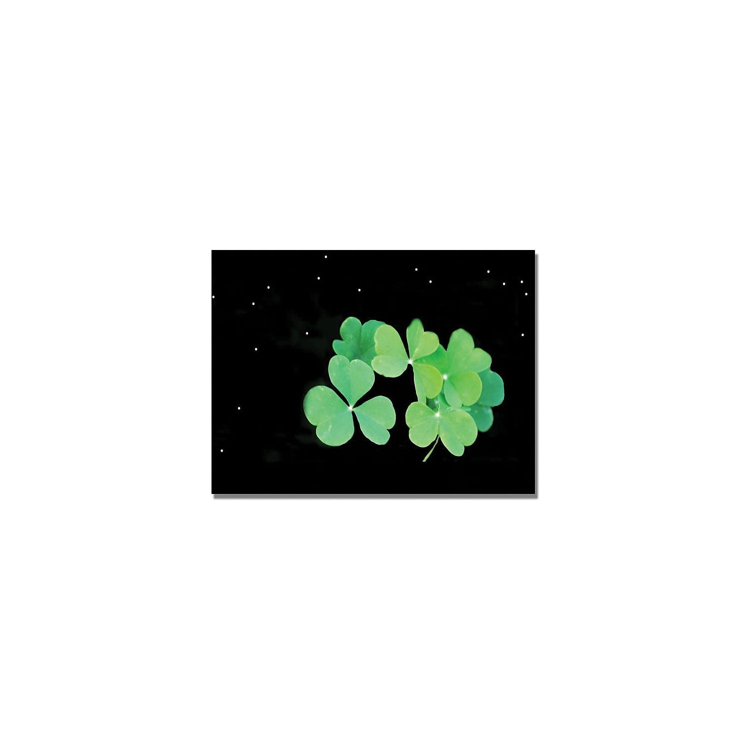 Trademark Art "Clover" Canvas Wall Art by Kathie McCurdy
