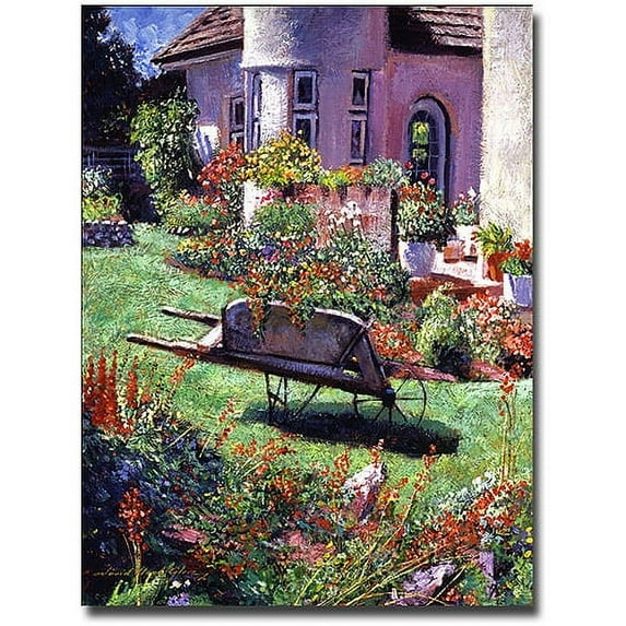 Trademark Art "Color Garden Impression" Canvas Wall Art by David Lloyd Glover