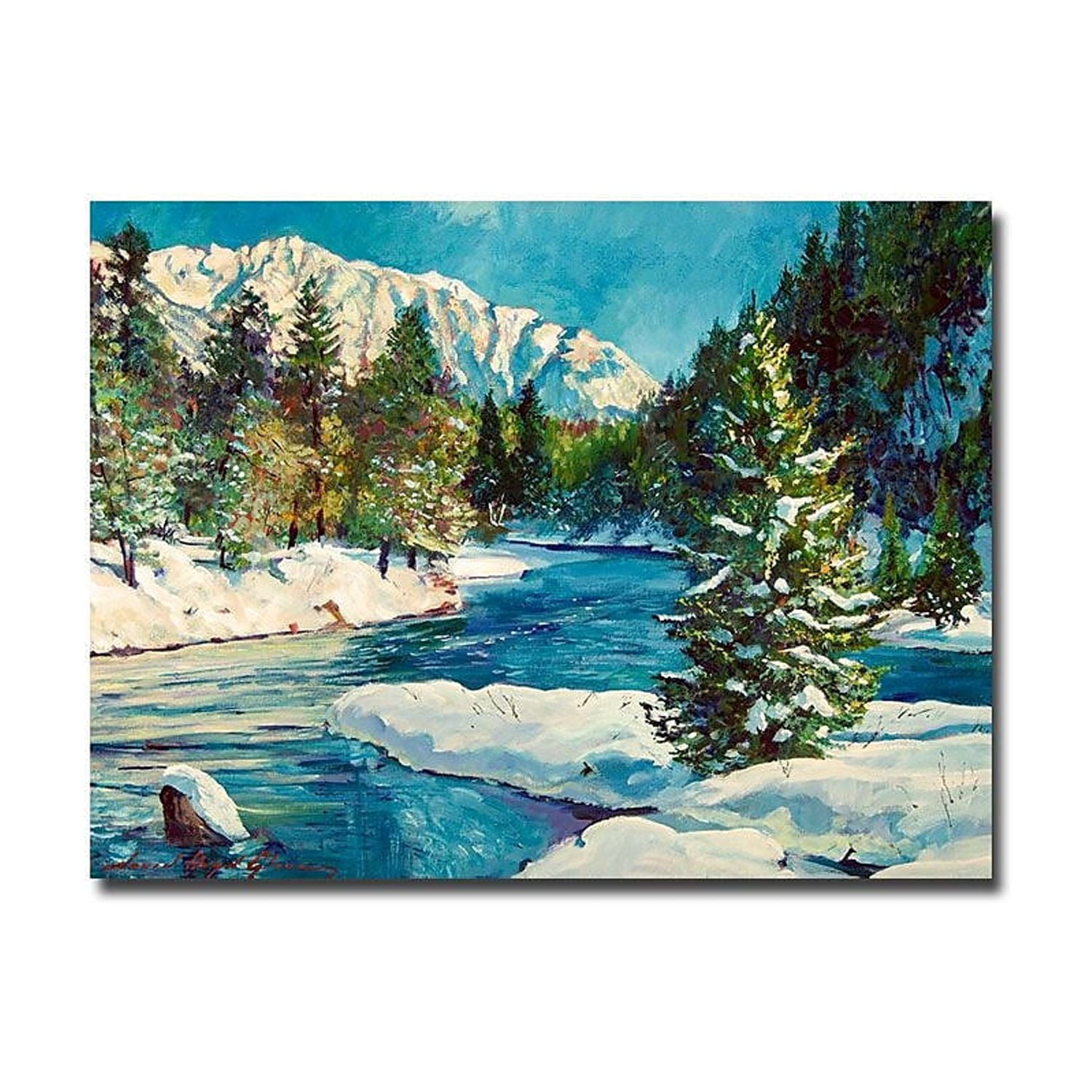 Colorado Pines Landscape Framed Canvas Wall Art