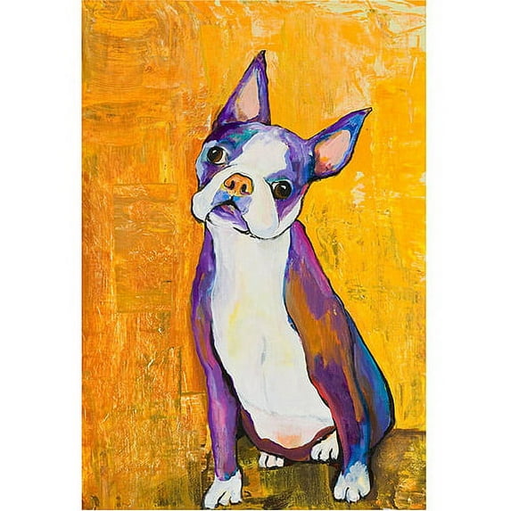 Trademark Art "Cosmos" Canvas Art by Pat Saunders-White