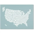 thumbnail image 1 of Trademark Art 'DUCK EGG-USA States Text Map' Canvas Art by Michael Tompsett, 1 of 1