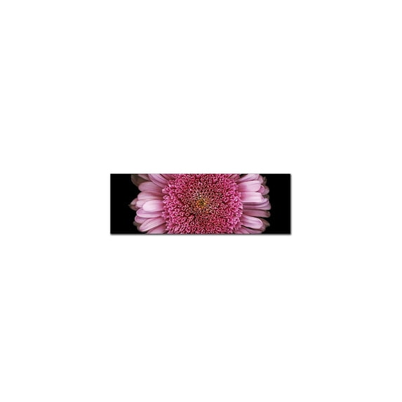 Trademark Art "Daisy" Canvas Art by Preston